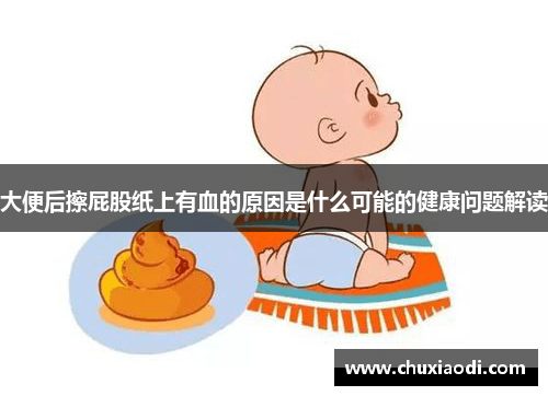 大便后擦屁股纸上有血的原因是什么可能的健康问题解读