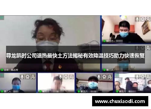尊龙凯时公司退热最快土方法揭秘有效降温技巧助力快速恢复